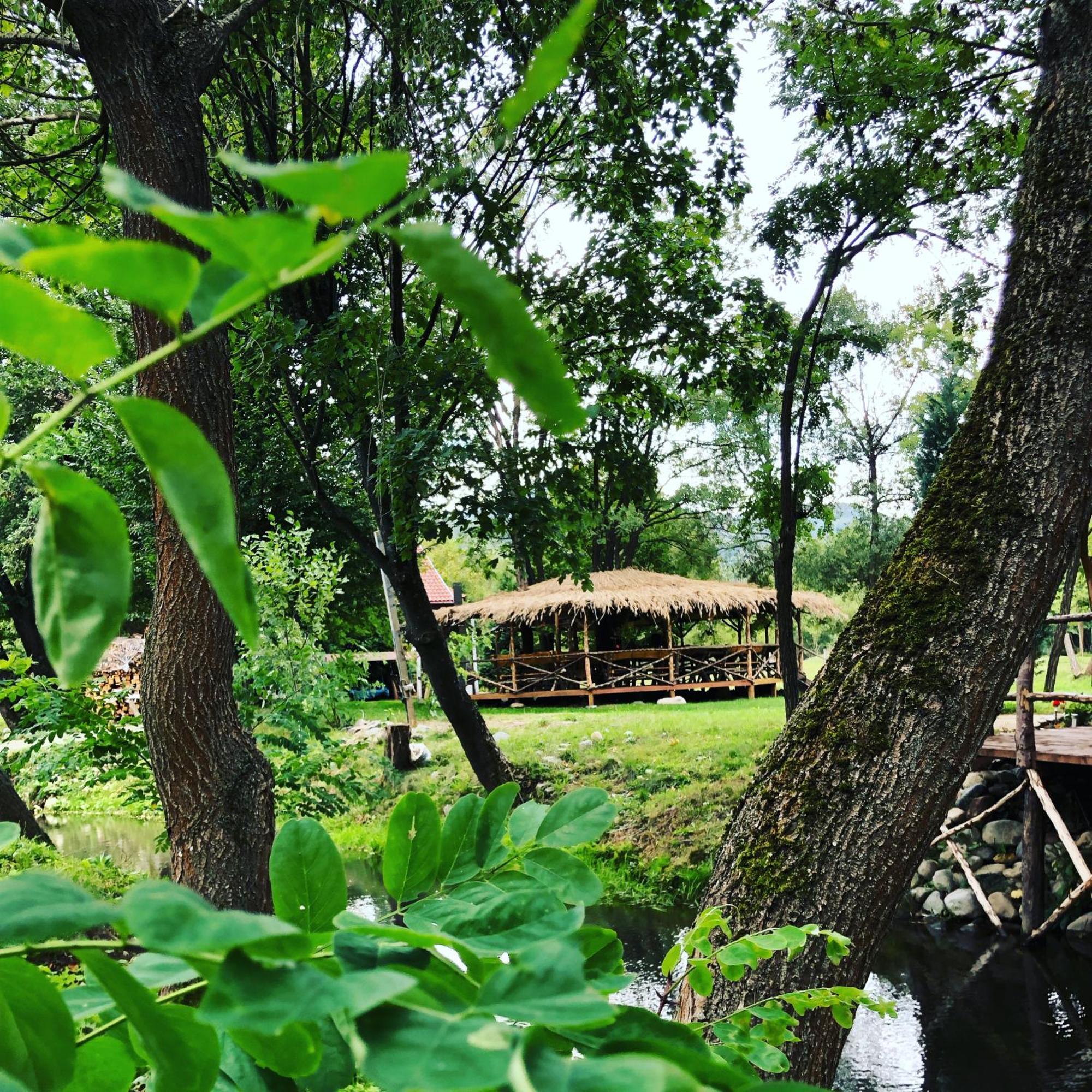 Viewtopia The Secret Land วาเลีย ดรากานูลุย ภายนอก รูปภาพ